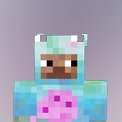 Minecraft Skin.